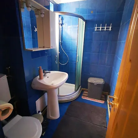 Apartment Ramona&alin Craiova