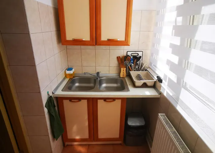 Ramona&alin * 克拉奥华