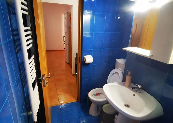 Ramona&alin 公寓 *