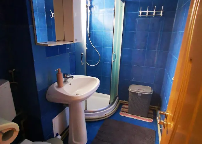 公寓 Ramona&alin 克拉奥华